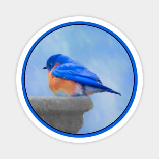 Bluebird Magnet